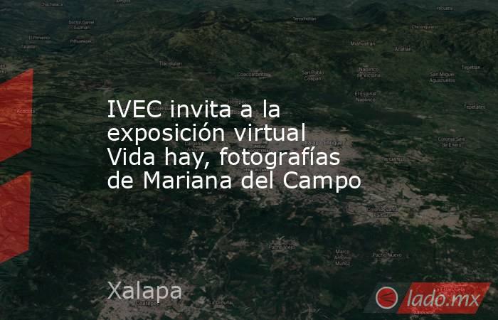 IVEC invita a la exposición virtual Vida hay, fotografías de Mariana del Campo. Noticias en tiempo real