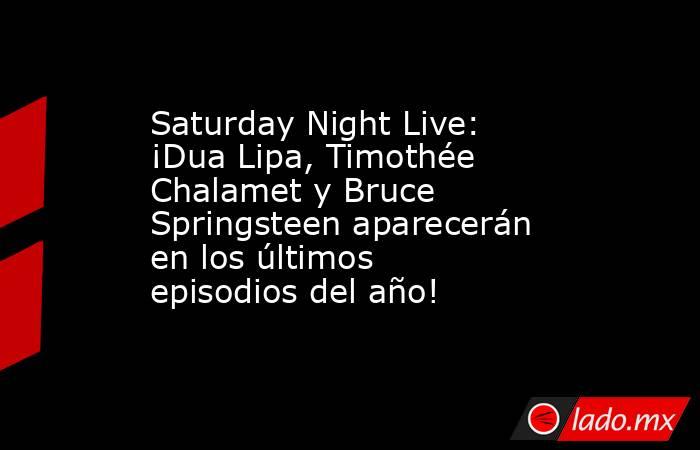 Saturday Night Live: ¡Dua Lipa, Timothée Chalamet y Bruce Springsteen aparecerán en los últimos episodios del año!. Noticias en tiempo real