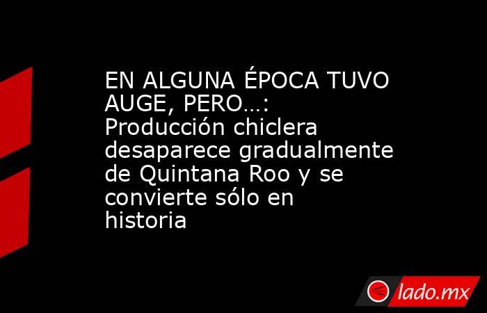 EN ALGUNA ÉPOCA TUVO AUGE, PERO…: Producción chiclera desaparece gradualmente de Quintana Roo y se convierte sólo en historia. Noticias en tiempo real