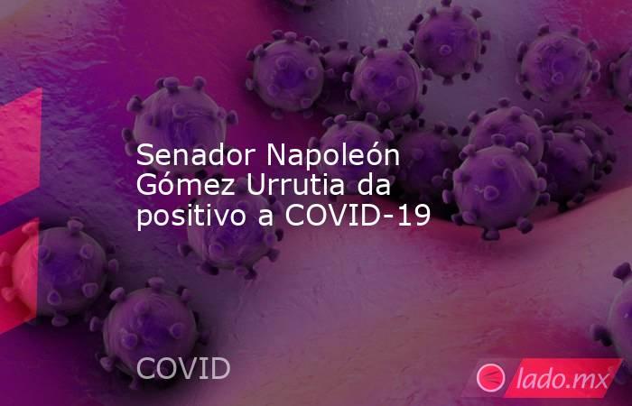 Senador Napoleón Gómez Urrutia da positivo a COVID-19. Noticias en tiempo real