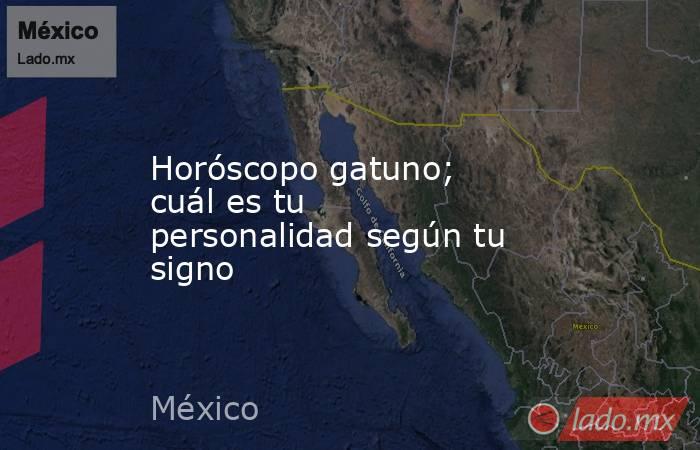 Horóscopo gatuno; cuál es tu personalidad según tu signo. Noticias en tiempo real