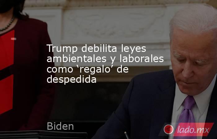 Trump debilita leyes ambientales y laborales como ‘regalo’ de despedida. Noticias en tiempo real