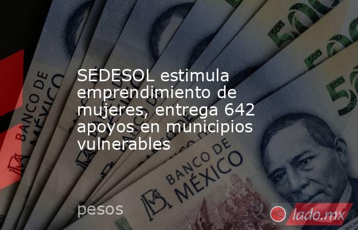 SEDESOL estimula emprendimiento de mujeres, entrega 642 apoyos en municipios vulnerables. Noticias en tiempo real