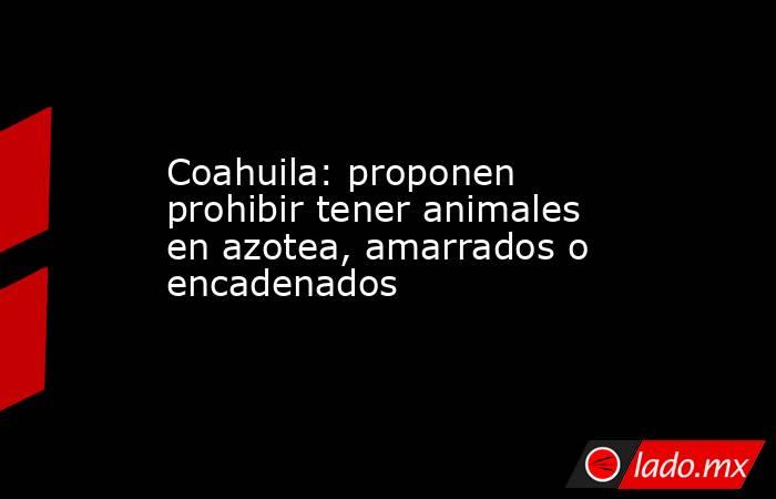 Coahuila: proponen prohibir tener animales en azotea, amarrados o encadenados. Noticias en tiempo real