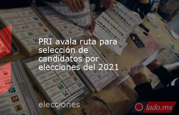 PRI avala ruta para selección de candidatos por elecciones del 2021. Noticias en tiempo real