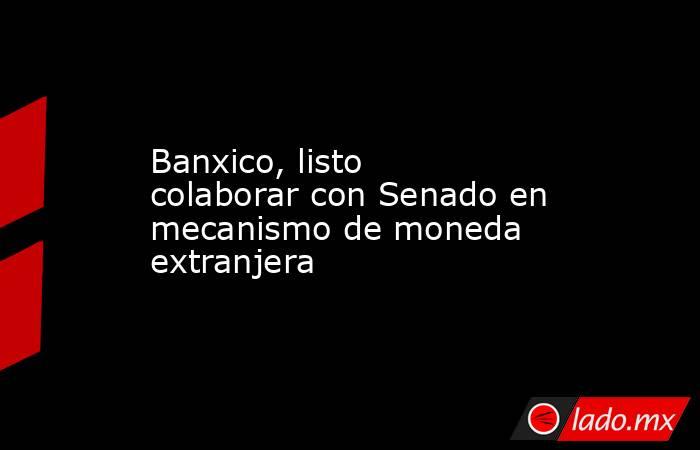 Banxico, listo colaborar con Senado en mecanismo de moneda extranjera. Noticias en tiempo real