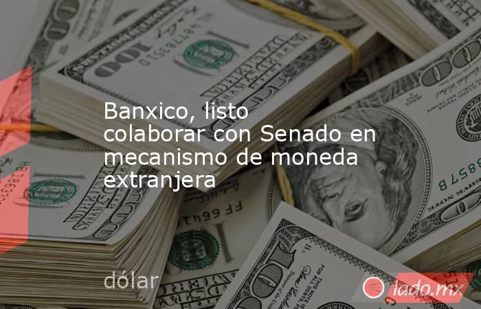 Banxico, listo colaborar con Senado en mecanismo de moneda extranjera. Noticias en tiempo real