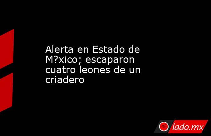 Alerta en Estado de M?xico; escaparon cuatro leones de un criadero. Noticias en tiempo real