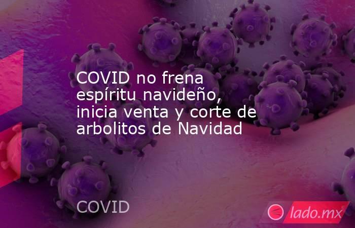 COVID no frena espíritu navideño, inicia venta y corte de arbolitos de Navidad. Noticias en tiempo real