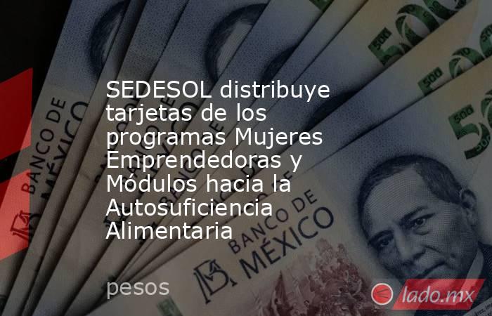 SEDESOL distribuye tarjetas de los programas Mujeres Emprendedoras y Módulos hacia la Autosuficiencia Alimentaria. Noticias en tiempo real