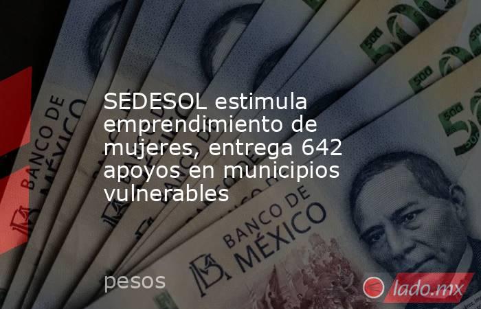 SEDESOL estimula emprendimiento de mujeres, entrega 642 apoyos en municipios vulnerables. Noticias en tiempo real