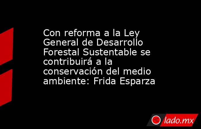 Con reforma a la Ley General de Desarrollo Forestal Sustentable se contribuirá a la conservación del medio ambiente: Frida Esparza. Noticias en tiempo real