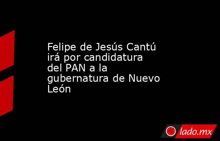 Felipe de Jesús Cantú irá por candidatura del PAN a la gubernatura de Nuevo León
. Noticias en tiempo real