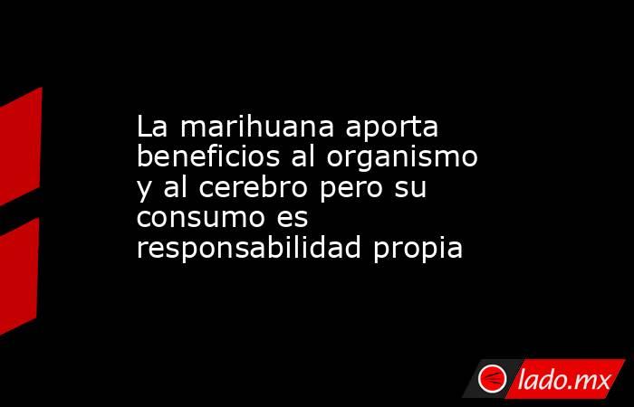 La marihuana aporta beneficios al organismo y al cerebro pero su consumo es responsabilidad propia. Noticias en tiempo real