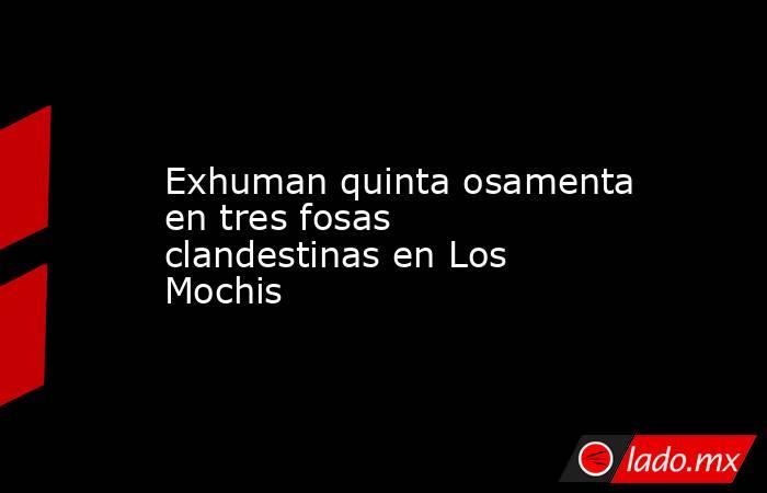 Exhuman quinta osamenta en tres fosas clandestinas en Los Mochis. Noticias en tiempo real