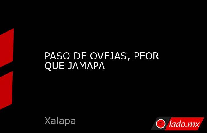 PASO DE OVEJAS, PEOR QUE JAMAPA. Noticias en tiempo real