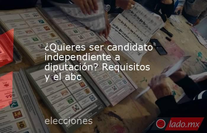 ¿Quieres ser candidato independiente a diputación? Requisitos y el abc. Noticias en tiempo real