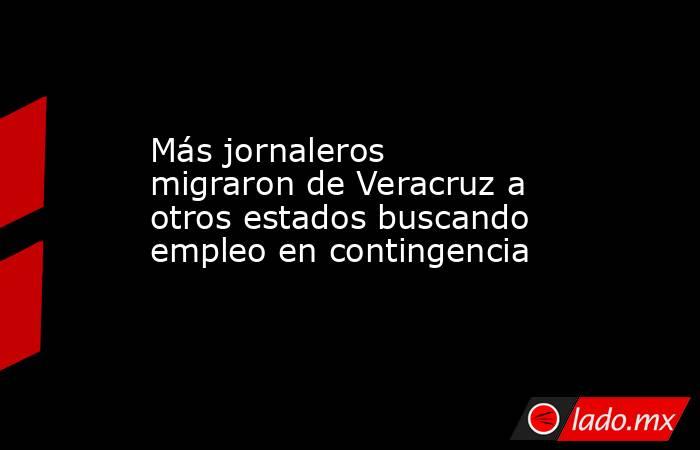 Más jornaleros migraron de Veracruz a otros estados buscando empleo en contingencia. Noticias en tiempo real