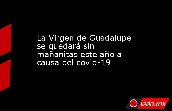 La Virgen de Guadalupe se quedará sin mañanitas este año a causa del covid-19. Noticias en tiempo real