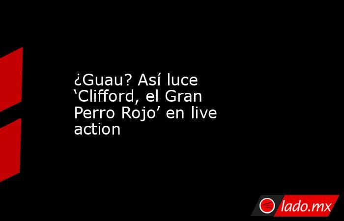 ¿Guau? Así luce ‘Clifford, el Gran Perro Rojo’ en live action. Noticias en tiempo real