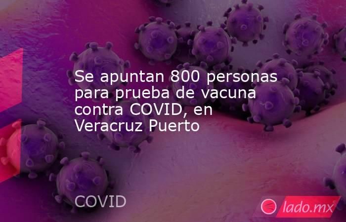 Se apuntan 800 personas para prueba de vacuna contra COVID, en Veracruz Puerto. Noticias en tiempo real