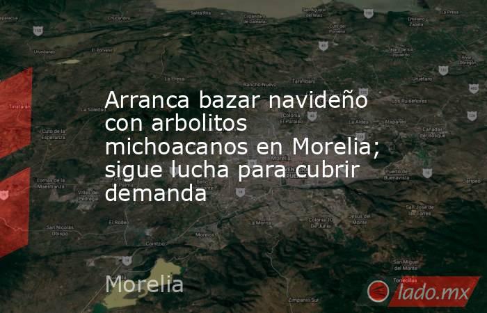 Arranca bazar navideño con arbolitos michoacanos en Morelia; sigue lucha para cubrir demanda. Noticias en tiempo real