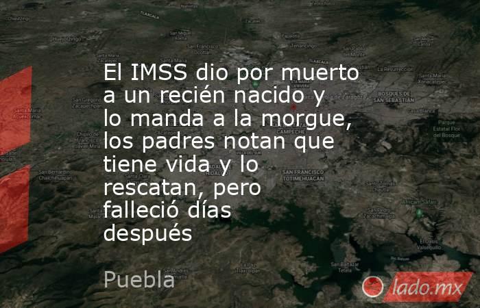 El IMSS dio por muerto a un recién nacido y lo manda a la morgue, los padres notan que tiene vida y lo rescatan, pero falleció días después. Noticias en tiempo real