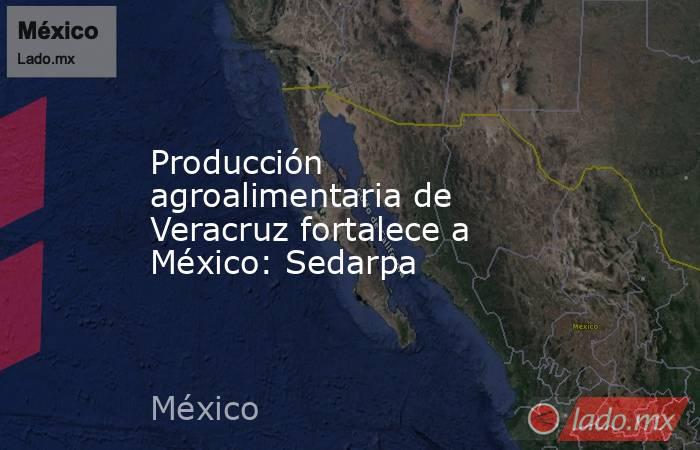 Producción agroalimentaria de Veracruz fortalece a México: Sedarpa. Noticias en tiempo real