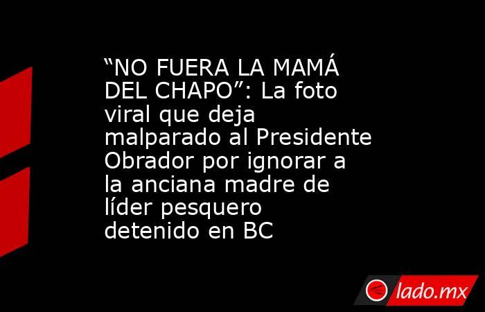 “NO FUERA LA MAMÁ DEL CHAPO”: La foto viral que deja malparado al Presidente Obrador por ignorar a la anciana madre de líder pesquero detenido en BC. Noticias en tiempo real