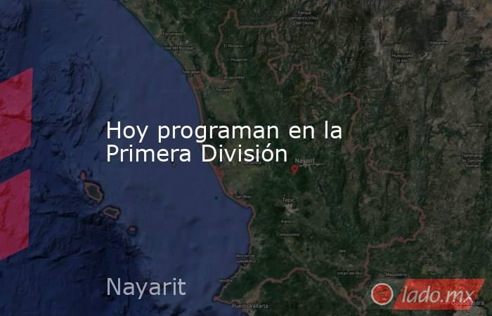 Hoy programan en la Primera División. Noticias en tiempo real