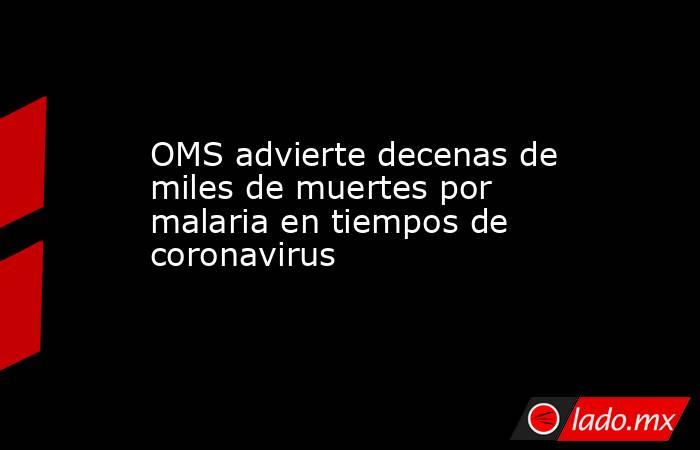 OMS advierte decenas de miles de muertes por malaria en tiempos de coronavirus. Noticias en tiempo real