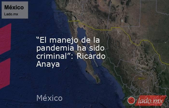 “El manejo de la pandemia ha sido criminal”: Ricardo Anaya. Noticias en tiempo real