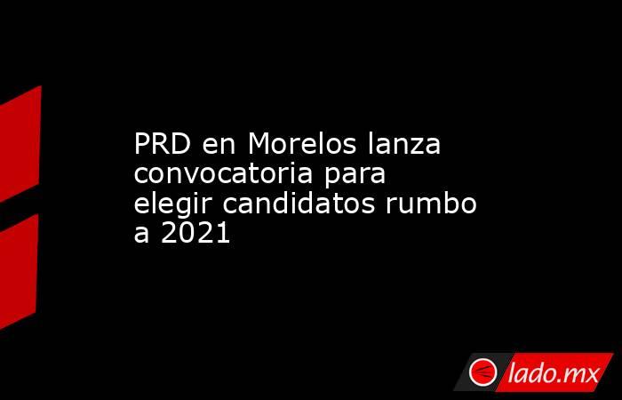 PRD en Morelos lanza convocatoria para elegir candidatos rumbo a 2021. Noticias en tiempo real