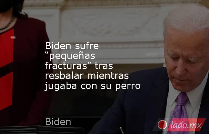 Biden sufre “pequeñas fracturas” tras resbalar mientras jugaba con su perro. Noticias en tiempo real