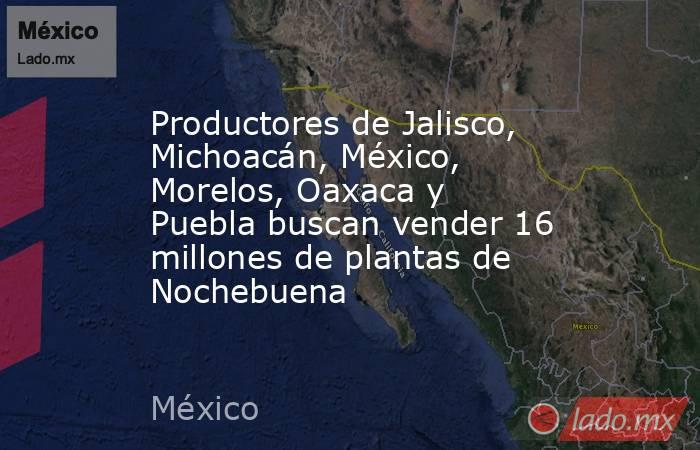 Productores de Jalisco, Michoacán, México, Morelos, Oaxaca y Puebla buscan vender 16 millones de plantas de Nochebuena. Noticias en tiempo real