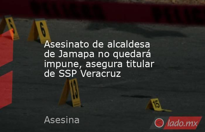 Asesinato de alcaldesa de Jamapa no quedará impune, asegura titular de SSP Veracruz. Noticias en tiempo real