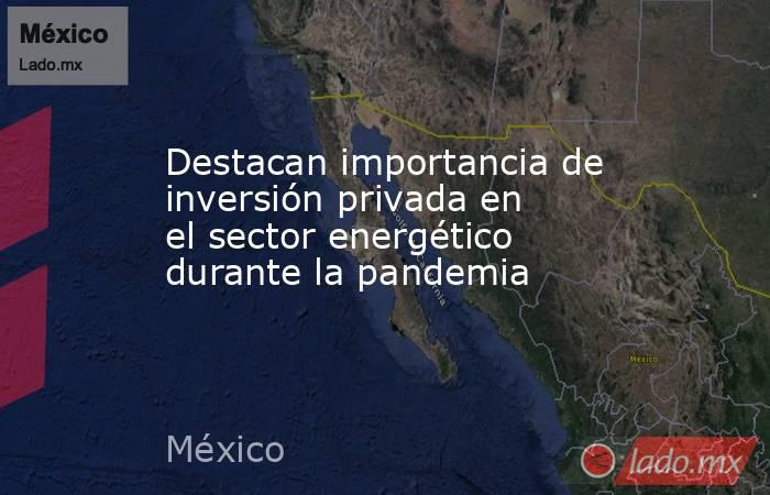 Destacan importancia de inversión privada en el sector energético durante la pandemia. Noticias en tiempo real