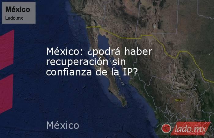 México: ¿podrá haber recuperación sin confianza de la IP?. Noticias en tiempo real