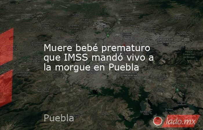 Muere bebé prematuro que IMSS mandó vivo a la morgue en Puebla. Noticias en tiempo real