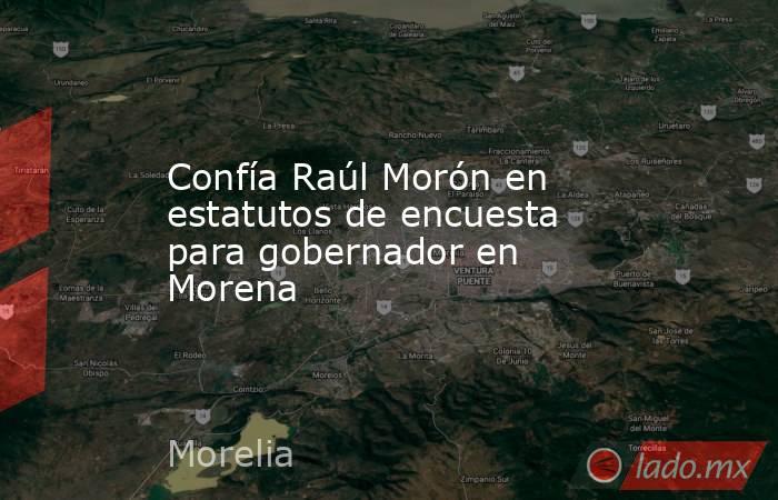 Confía Raúl Morón en estatutos de encuesta para gobernador en Morena. Noticias en tiempo real