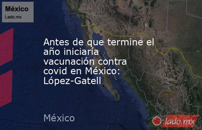 Antes de que termine el año iniciaría vacunación contra covid en México: López-Gatell. Noticias en tiempo real