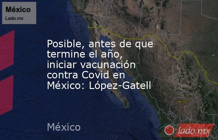 Posible, antes de que termine el año, iniciar vacunación contra Covid en México: López-Gatell. Noticias en tiempo real