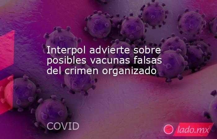 Interpol advierte sobre posibles vacunas falsas del crimen organizado. Noticias en tiempo real