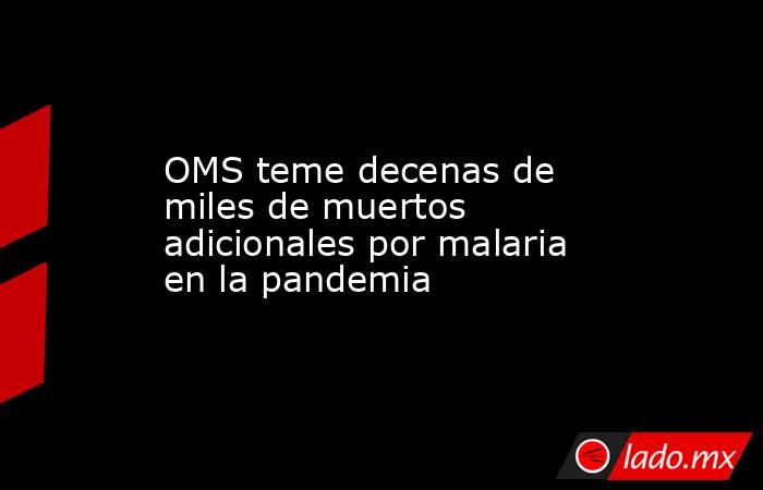 OMS teme decenas de miles de muertos adicionales por malaria en la pandemia. Noticias en tiempo real