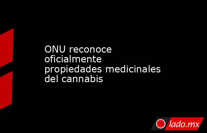 ONU reconoce oficialmente propiedades medicinales del cannabis. Noticias en tiempo real