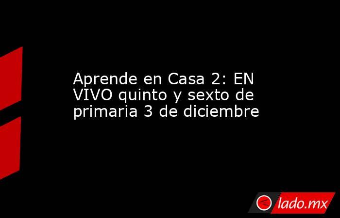 Aprende en Casa 2: EN VIVO quinto y sexto de primaria 3 de diciembre. Noticias en tiempo real