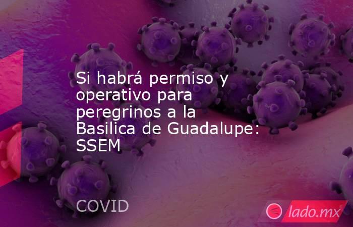 Si habrá permiso y operativo para peregrinos a la Basilica de Guadalupe: SSEM. Noticias en tiempo real