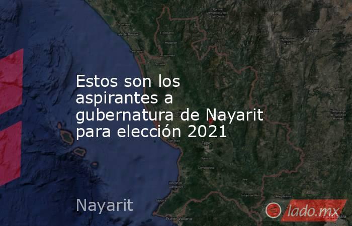 Estos son los aspirantes a gubernatura de Nayarit para elección 2021. Noticias en tiempo real