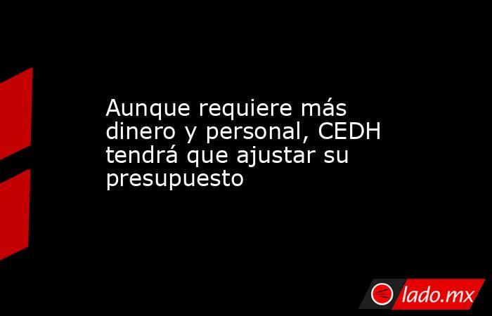 Aunque requiere más dinero y personal, CEDH tendrá que ajustar su presupuesto. Noticias en tiempo real