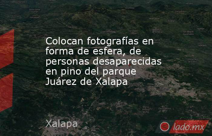 Colocan fotografías en forma de esfera, de personas desaparecidas en pino del parque Juárez de Xalapa. Noticias en tiempo real